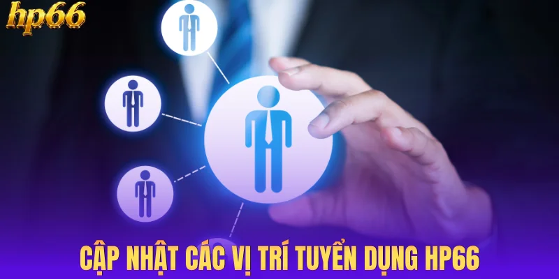 Cập nhật các vị trí tuyển dụng HP66
