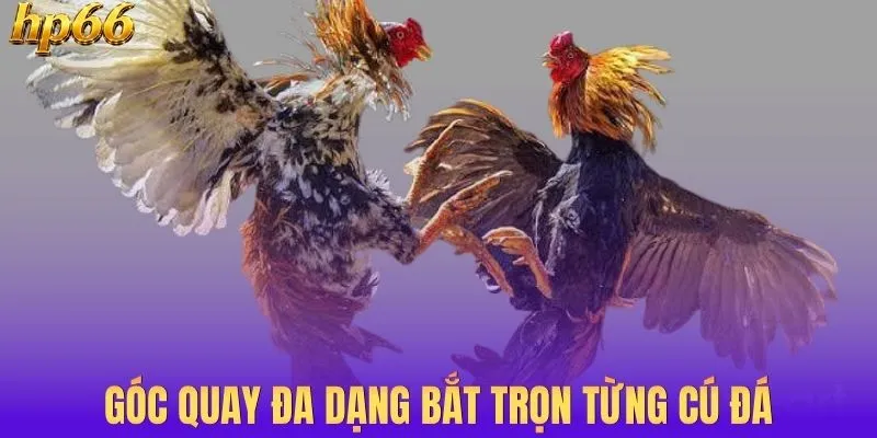 Góc quay đa dạng bắt trọn từng cú đá