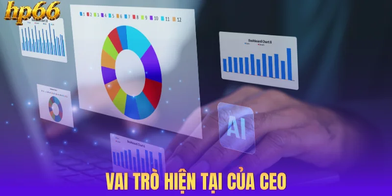 Vai trò hiện tại của CEO
